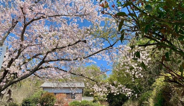 Ensoh in Okayama