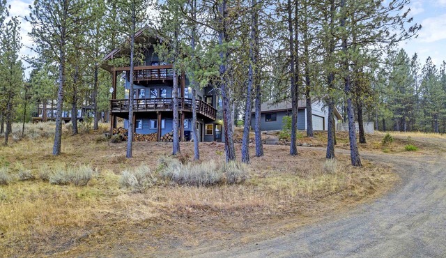 Family Friendly Tree House Cabin