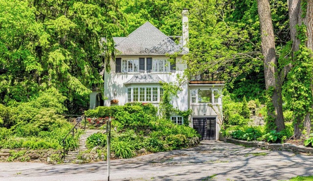 Forest living in Toronto in Toronto