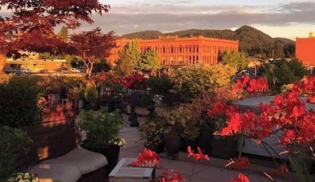 Garden Oasis in Bellingham