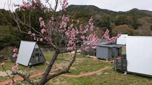 ichi in Ōkasho