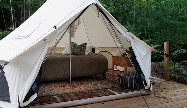 Ilex Forest Retreat: Camp Azalea in Luther