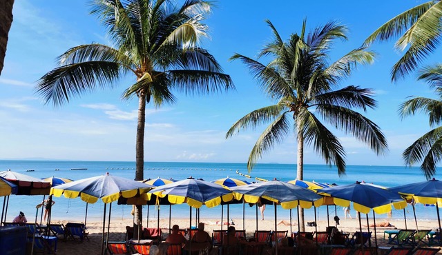 Jellyfish Hostel in Pattaya