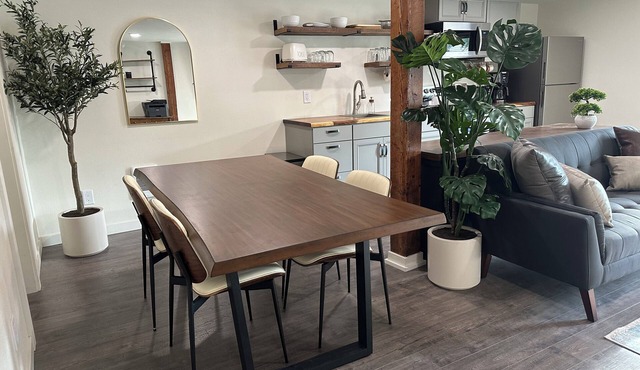 Live Work Downtown Apartment