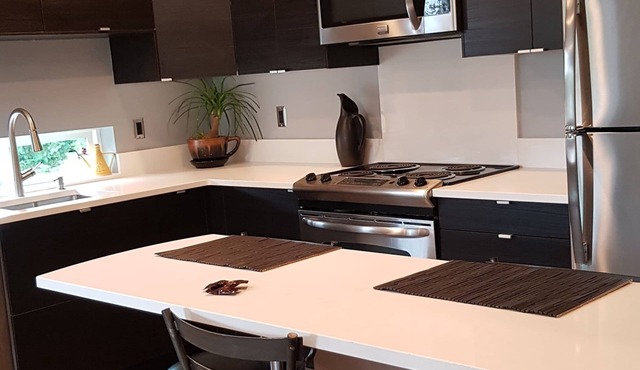 Modern condo near Microsoft for business and leisure travelers