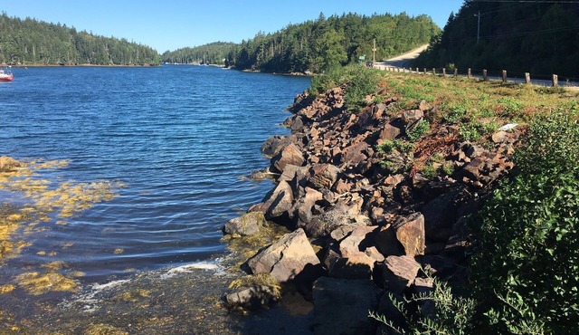On the Beautiful South Shore Near Chester and Hubbards, Ns in Deep Cove