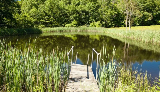 Pond View Cottage in Old Chatham WEEKLY & MONTHLY DISCOUNTS OFFERED!!!! in Old Chatham