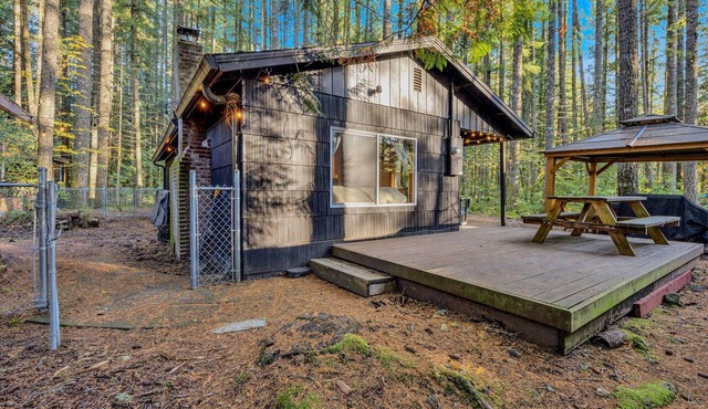 Private Cabin-Sauna-Covered Fire Pit-Fully Fenced Yard in Rhododendron