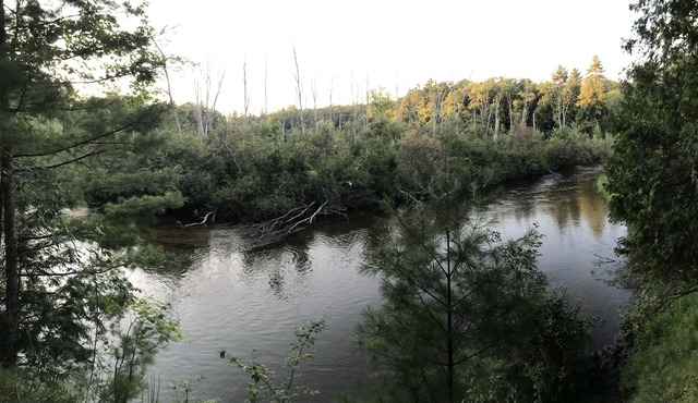 Private peaceful Copper top cabin on the world renowned Pere Marquette River! in Custer