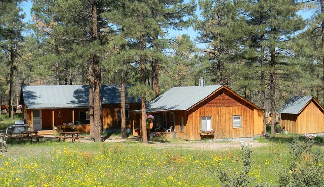 Private Ranch Experience in the Gila National Forest, New Mexico! in Winston