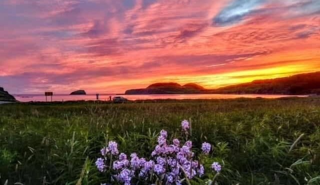 Red Sunset Cottage in Twillingate in Twillingate