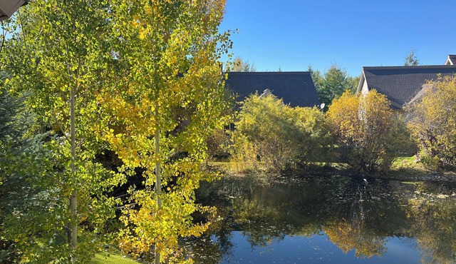 Relax near Grand Targhee- only 22 min away