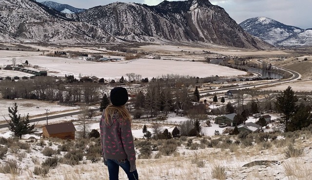 Reserve 2,3 or all 4 cabins on 13acre horse ranch 5 mins from Yellowstone