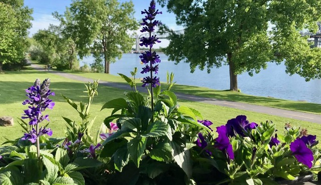 Riverfront Apartment - Brossard - Easy access to Downtown MTL in Brossard