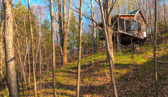 Solar-Powered Tree House in the Canadian Woods near Toronto, Ontario in Blackstock