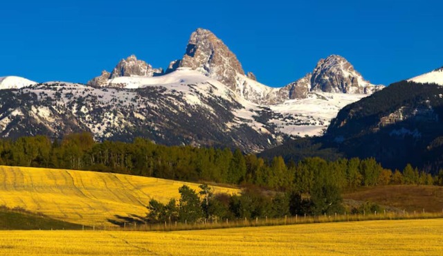 StayGK Teton Springs – Cozy Condo w/Patio & Grill