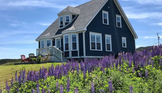 Stunning Ocean View Vacation Home, Trinity NL in Trinity