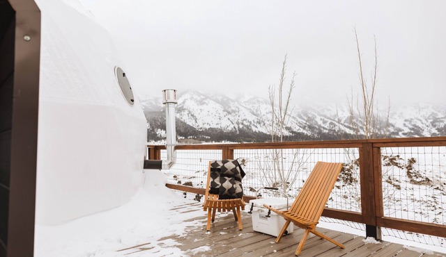 Tammah Jackson Hole