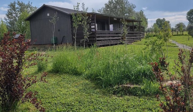 The Lazy Wolf Cabin at Wolf Haven Cabins