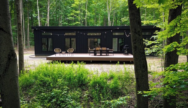 The Rae - a secluded & modern cabin in Mancelona