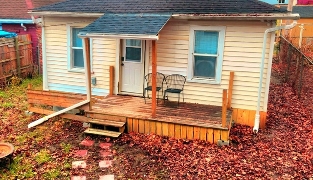 tiny house backyard cabin getaway in Detroit in Detroit