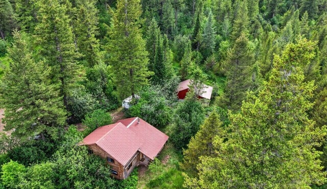 Two Lakeside Cabins at Camp Little Lemhi