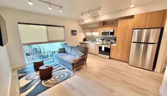 Ultra-Luxury Condo in the Middle of Downtown