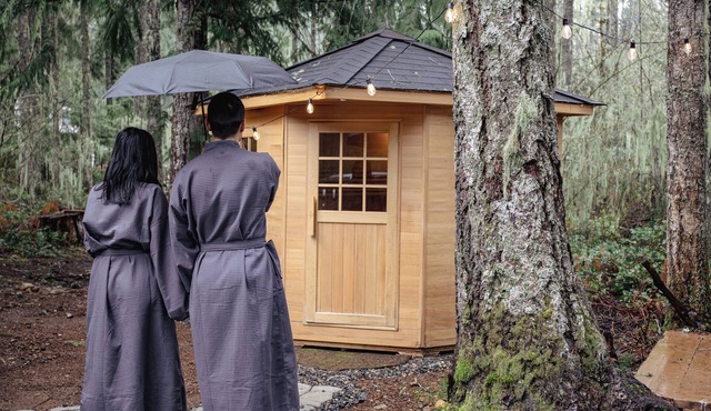 Wellness Retreat at Lake Cushman. Sauna, Cold Plunge, Fire Pit