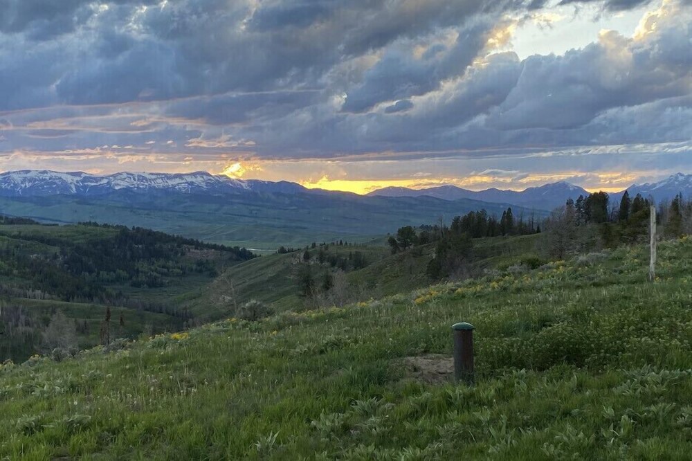 Photo of Outdoor in Game Creek