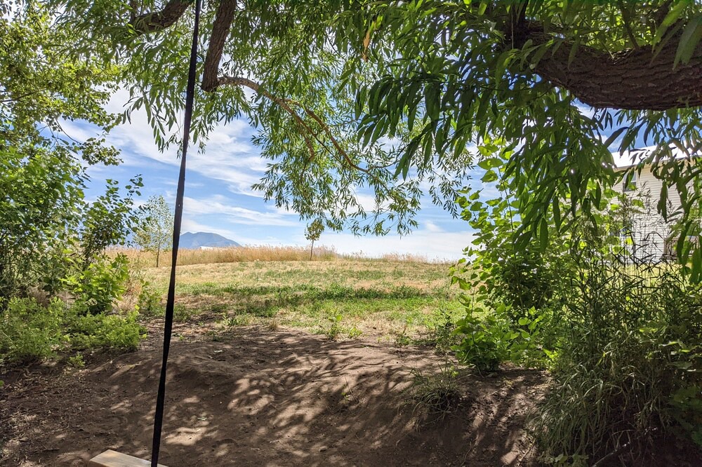 Photo of Outdoor in Mendon
