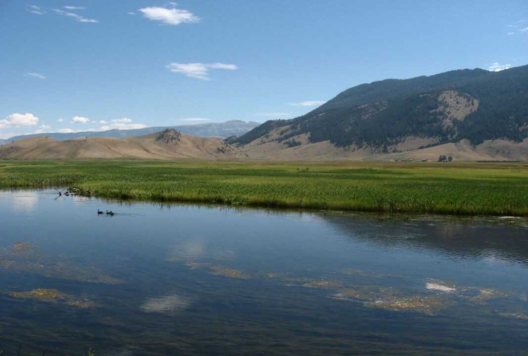 Photo of Others in Jackson