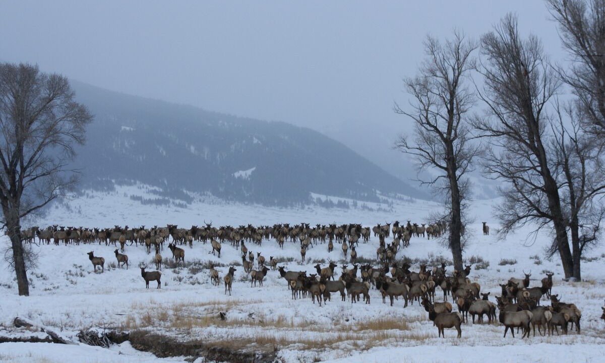 Photo of Outdoor in Jackson