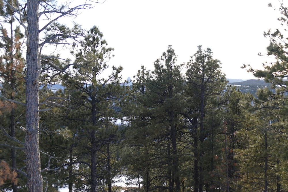 Photo of Others in Hulett