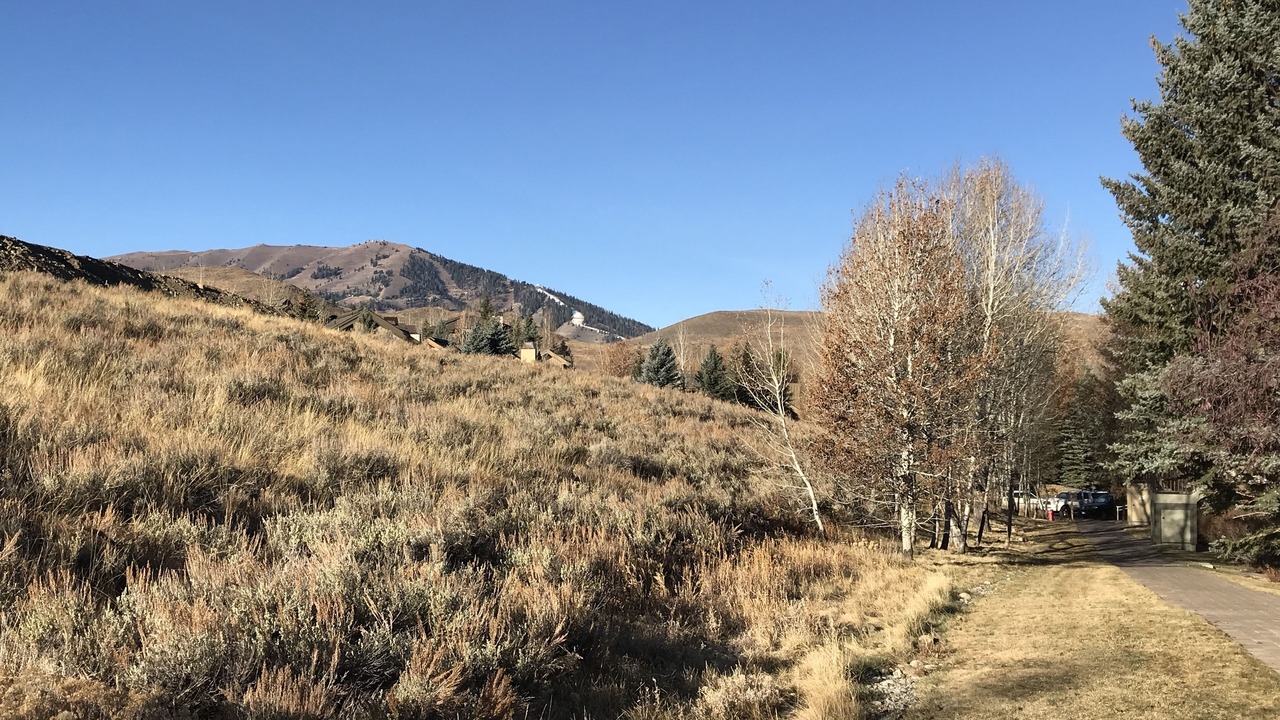 Photo of Outdoor in Sun Valley