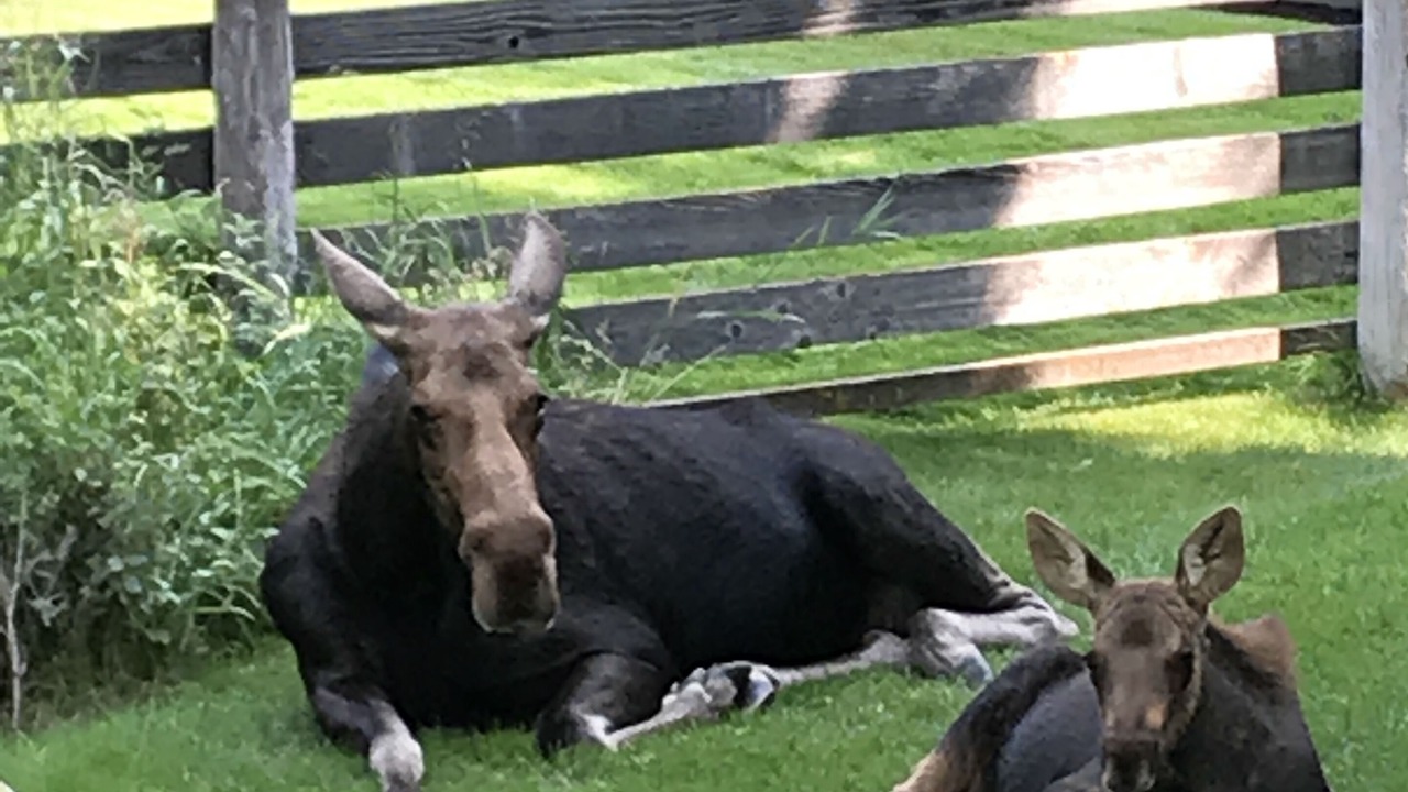 Photo of Outdoor in Jackson