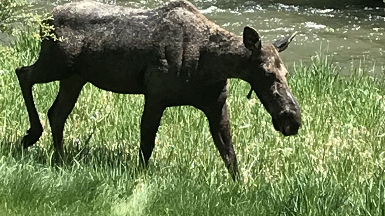 Photo of Outdoor in Jackson