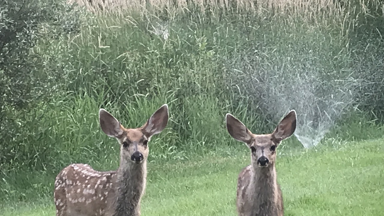 Photo of Outdoor in Jackson