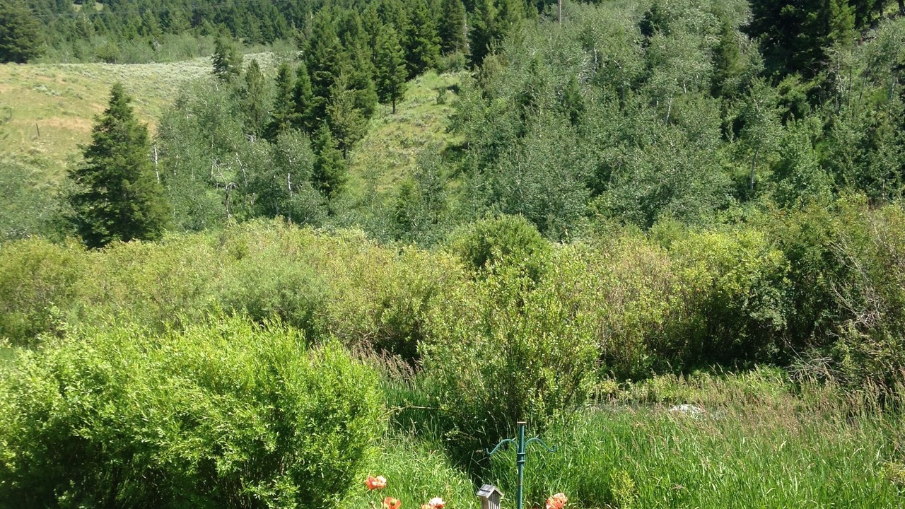 Photo of Outdoor in Jackson