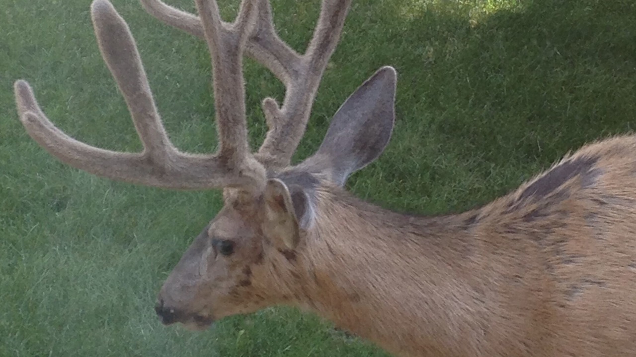 Photo of Outdoor in Jackson