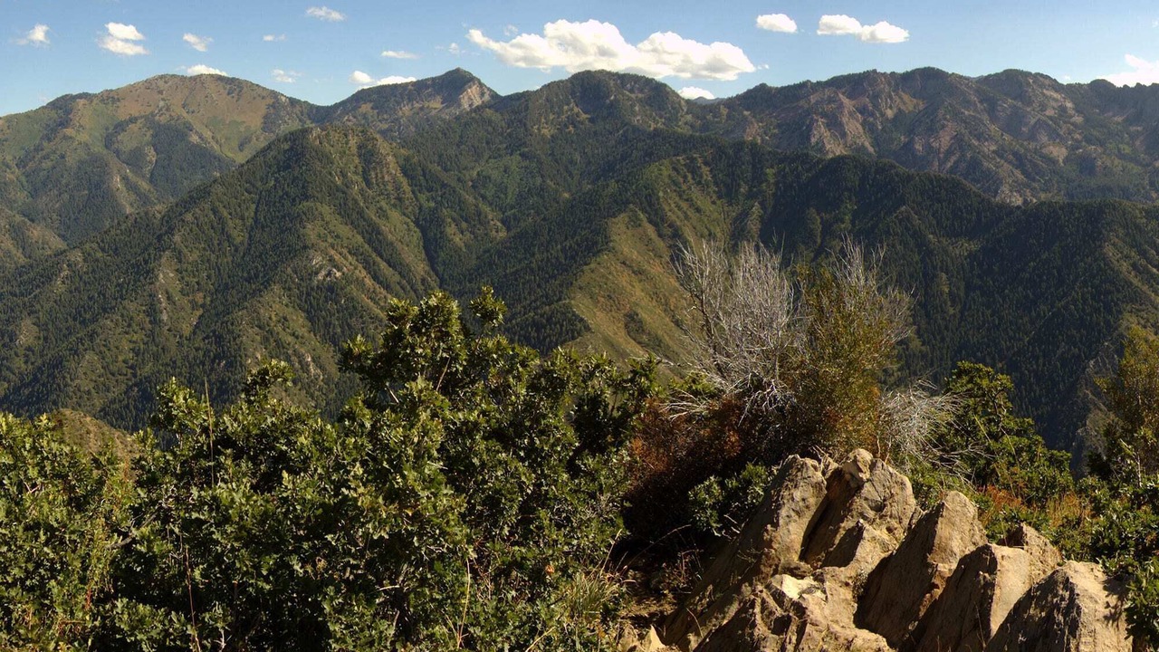 Photo of Outdoor in Canyon Rim