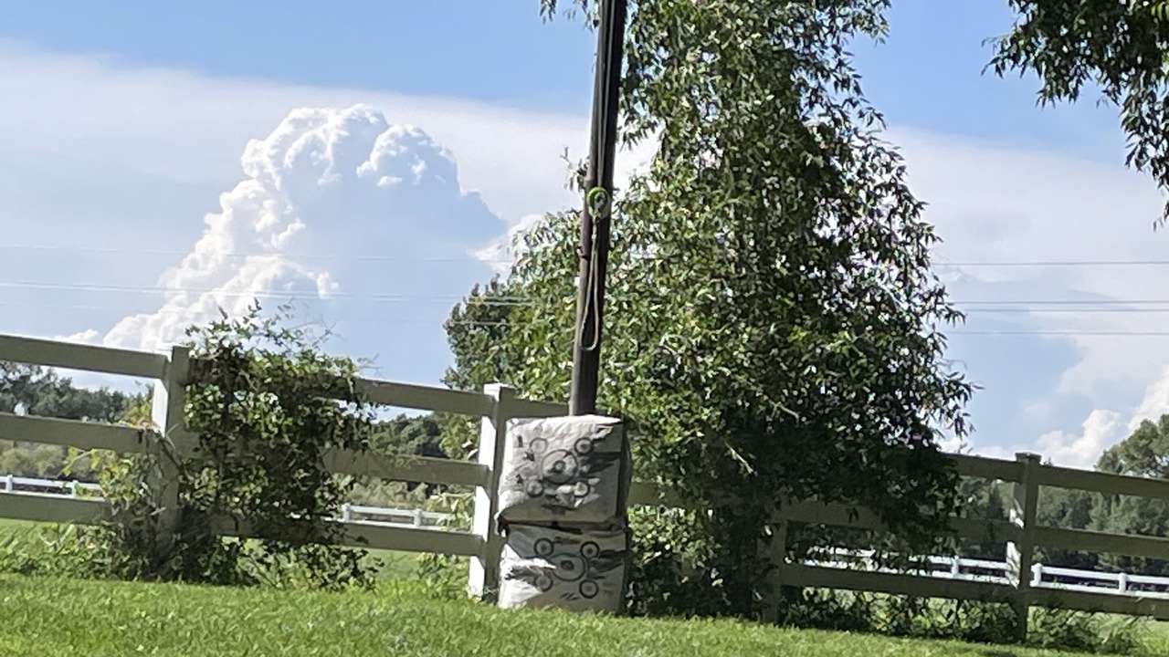 Photo of Outdoor in Rigby