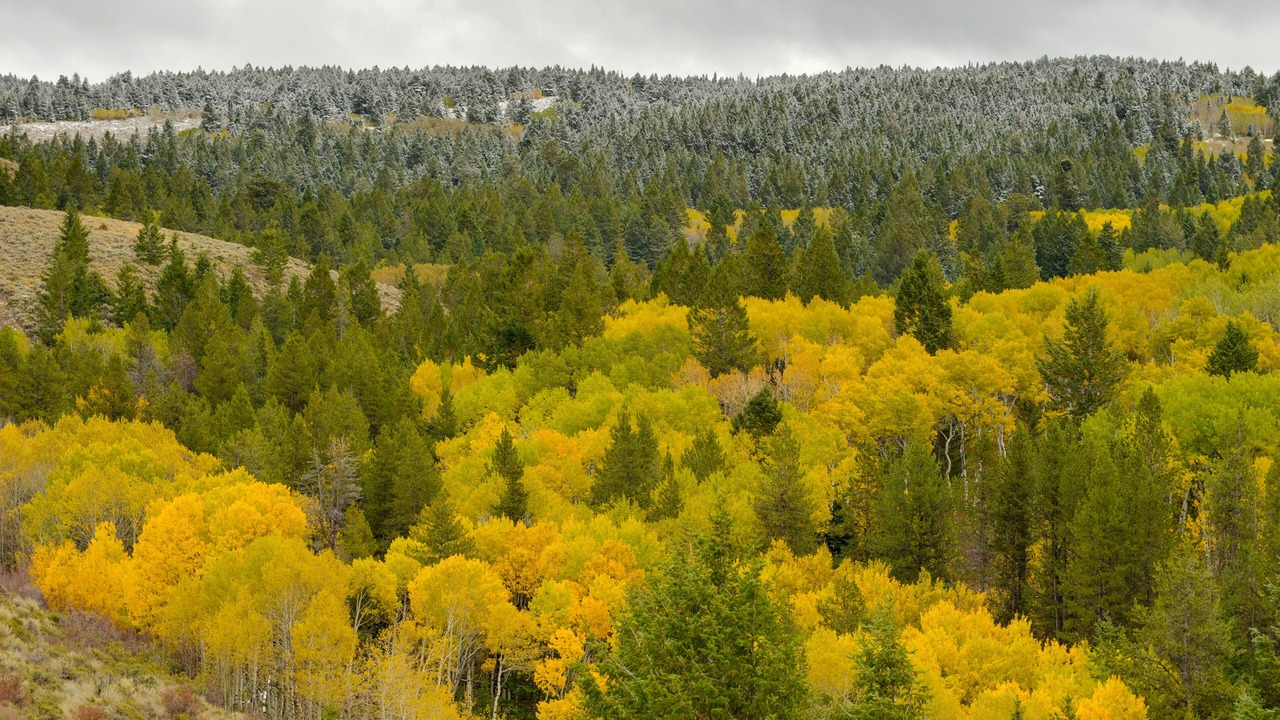 Photo of Outdoor in Madison County