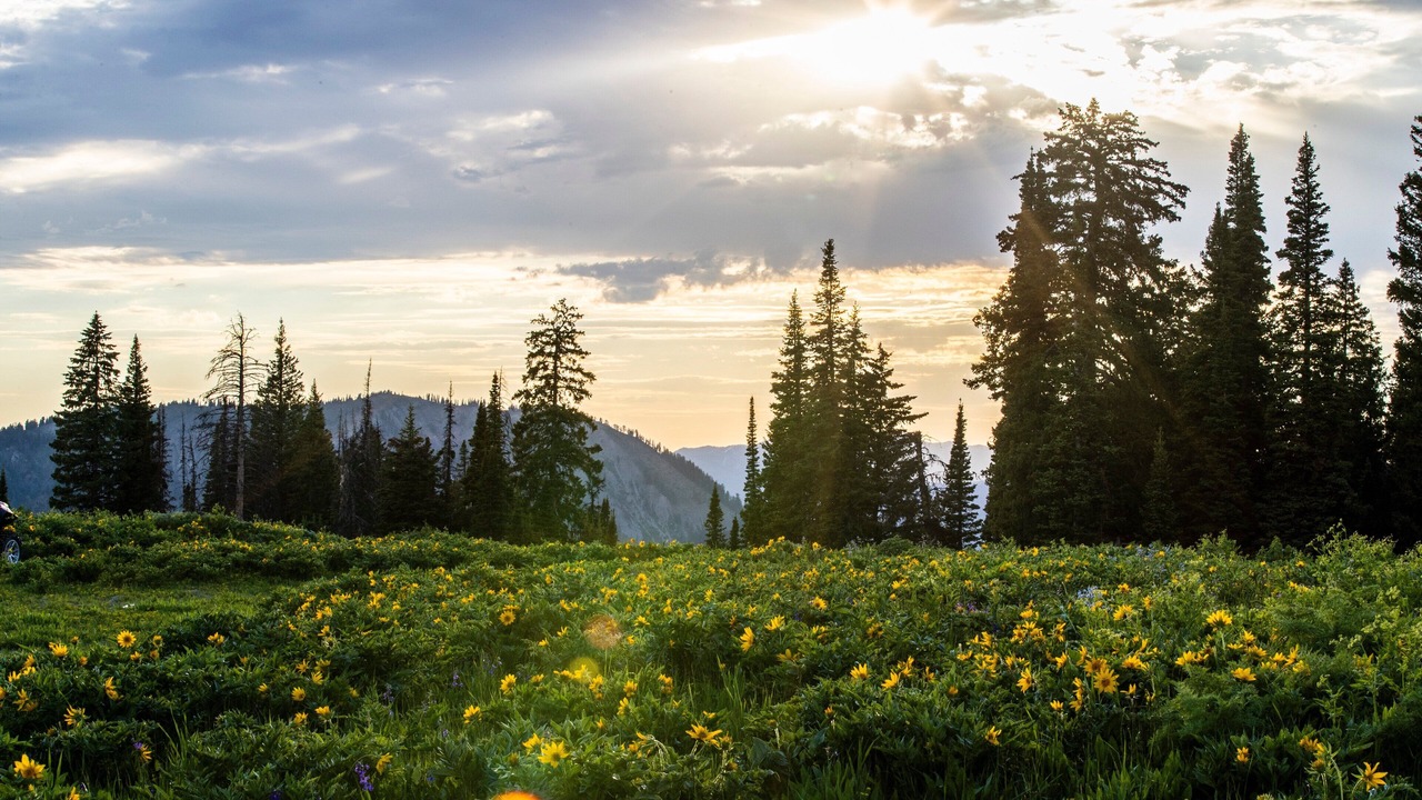 Photo of Outdoor in Alpine Northwest