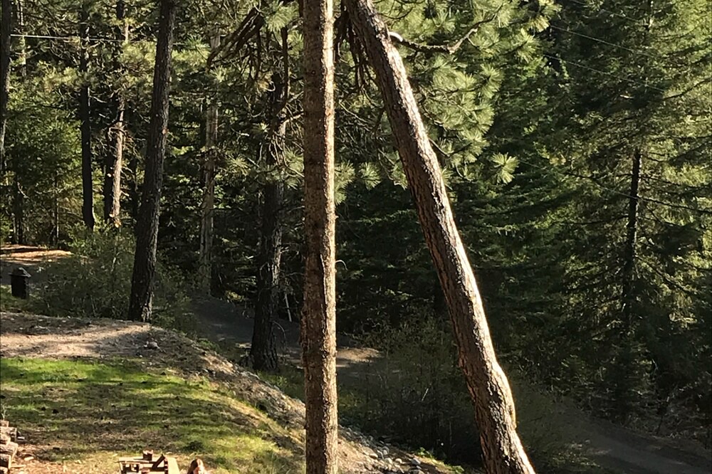 Photo of Others in Roslyn Ridge