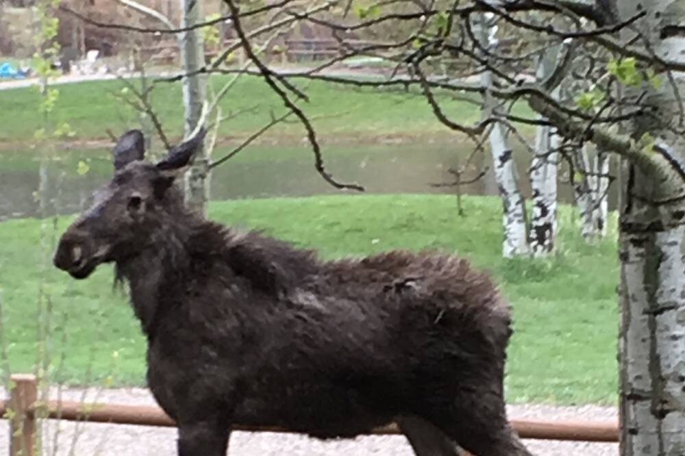 Photo of Outdoor in Idaho Falls
