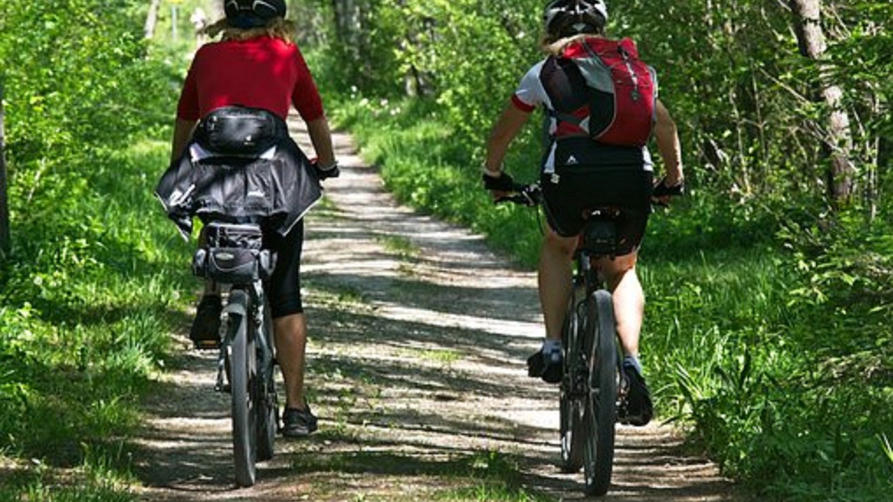 Photo of Others in North Logan