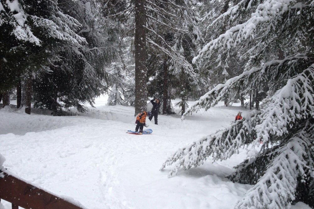 Photo of Others in Roslyn Ridge