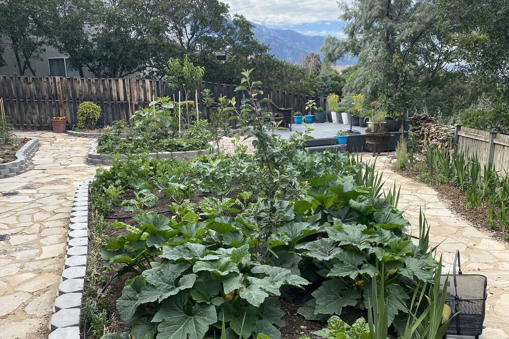 Photo of Outdoor in Holladay