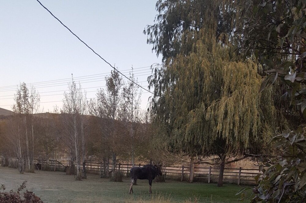 Photo of Outdoor in Swan Valley