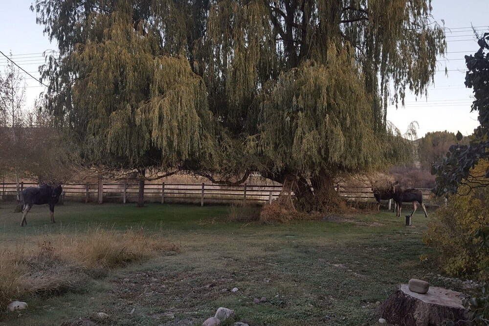 Photo of Outdoor in Swan Valley